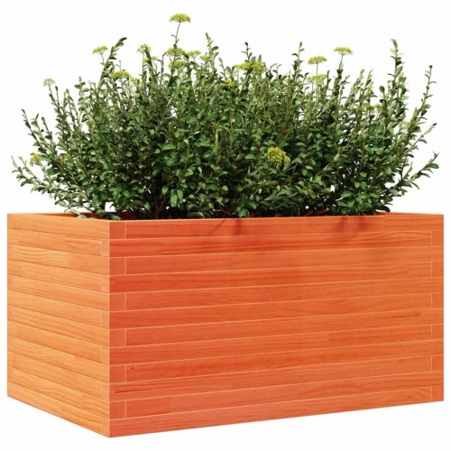 Plantekasse i massivt fyrretræ 90 x 60 x 45,5 cm - gyldenbrun
