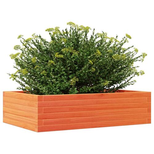 Plantekasse 90x60x23 cm massivt fyrretræ gyldenbrun