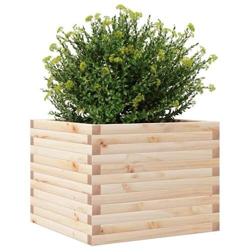 Plantekasse 60x60x45,5 cm massivt fyrretræ