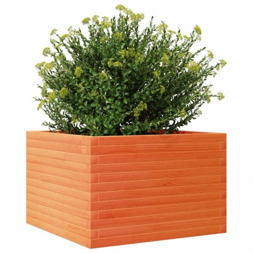 Plantekasse i massivt fyrretræ 70 x 70 x 45,5 cm - gyldenbrun