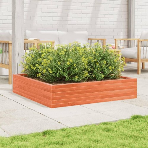 Plantekasse i massivt fyrretræ 110 x 110 x 23 cm - gyldenbrun