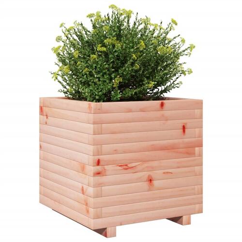 Plantekasse 50x50x49,5 cm massivt douglasgran