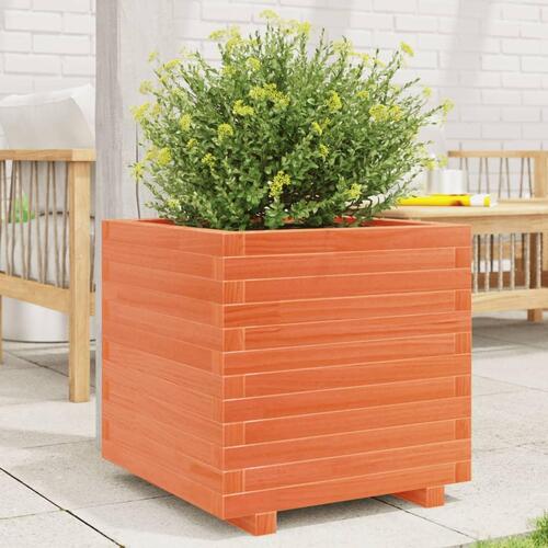 Plantekasse 50x50x49,5 cm massivt fyrretræ gyldenbrun