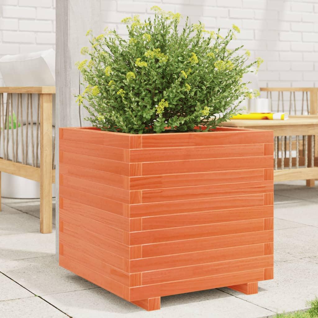 Plantekasse 50x50x49,5 cm massivt fyrretræ gyldenbrun