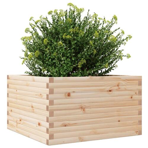 Plantekasse 80x80x46 cm massivt fyrretræ