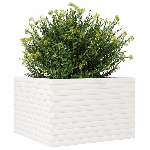 Plantekasse 70x70x46 cm massivt fyrretræ hvid