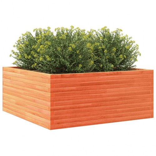 Plantekasse i massivt fyrretræ 110 x 110 x 46 cm - gyldenbrun