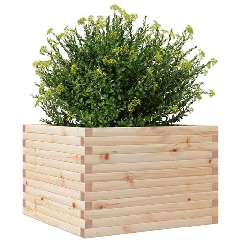 Plantekasse 70x70x46 cm massivt fyrretræ