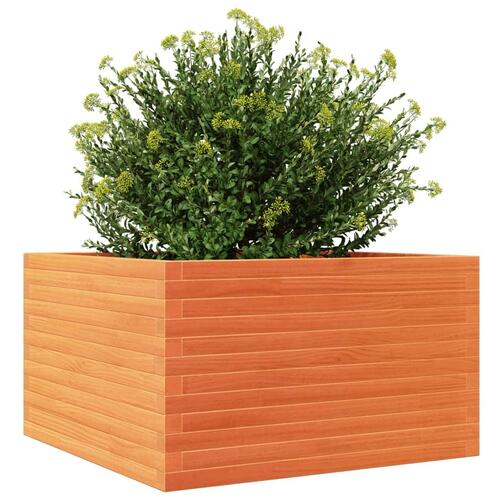 Plantekasse 80x80x46 cm massivt fyrretræ gyldenbrun