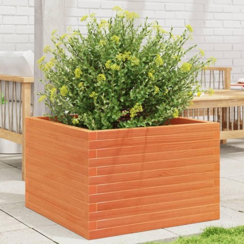 Plantekasse 70x70x46 cm massivt fyrretræ gyldenbrun