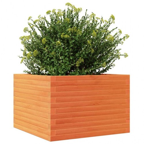 Plantekasse 70x70x46 cm massivt fyrretræ gyldenbrun
