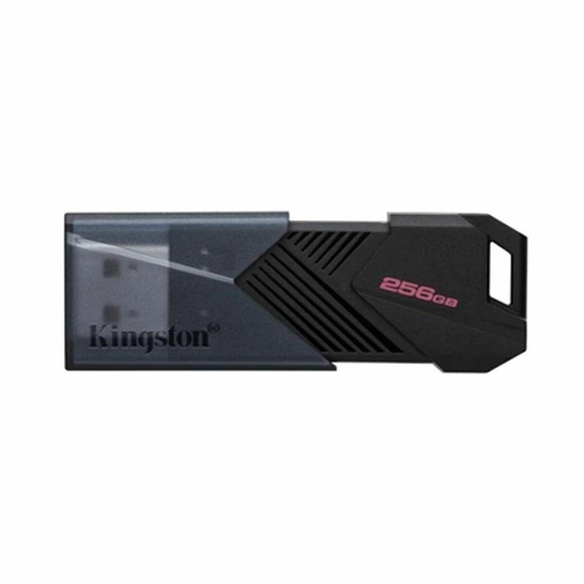 USB-stik Kingston Sort 256 GB