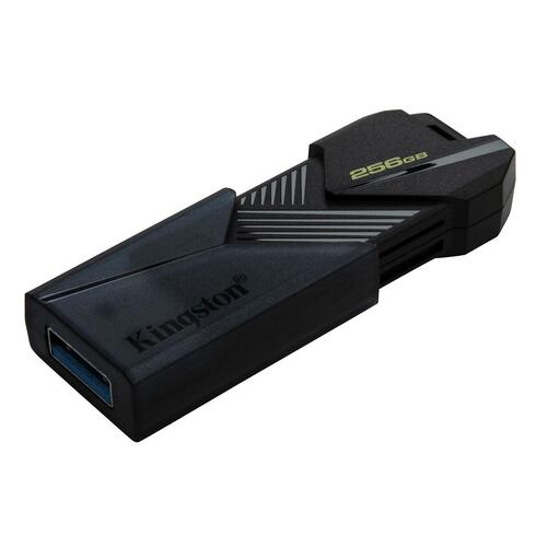USB-stik Kingston Sort 256 GB