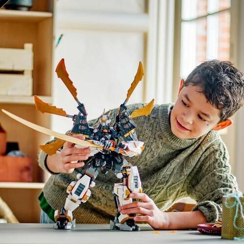 Konstruktionsspil Lego Ninjago Multifarvet