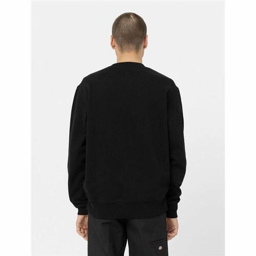 Hættetrøje til Mænd Dickies Oxford Hvid Sort S