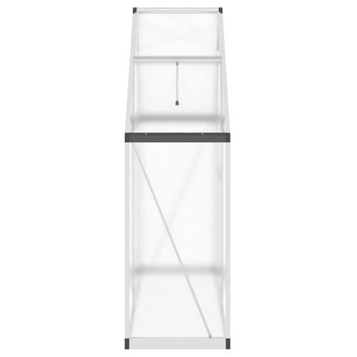 Drivhus med fundamentramme 169x58x195 cm aluminium sølvfarvet