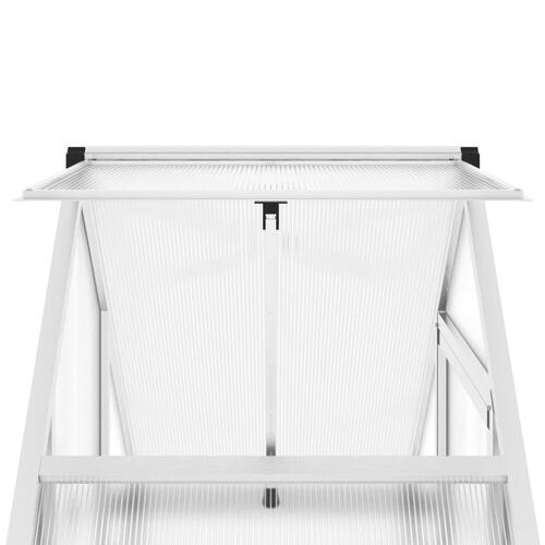 Drivhus med fundamentramme 169x58x195 cm aluminium sølvfarvet