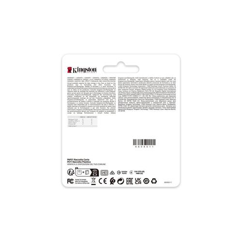USB-stik Kingston DTSE9G3/256GB Guld 256 GB
