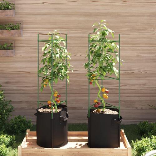 Plantestativer med planteposer 2 stk. 116 cm stål og PP