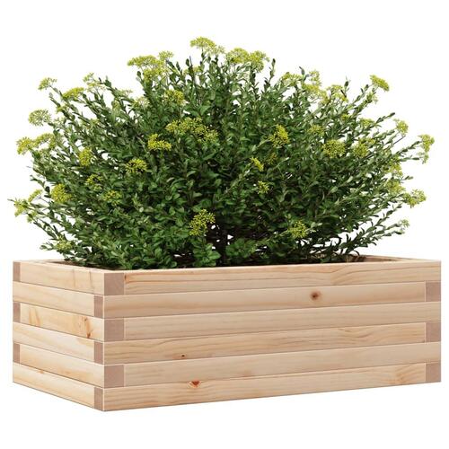 Plantekasse 70x40x23 cm massivt fyrretræ