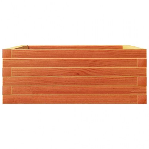 Plantekasse 60x60x23 cm massivt fyrretræ gyldenbrun