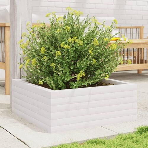 Plantekasse 60x60x23 cm massivt fyrretræ hvid