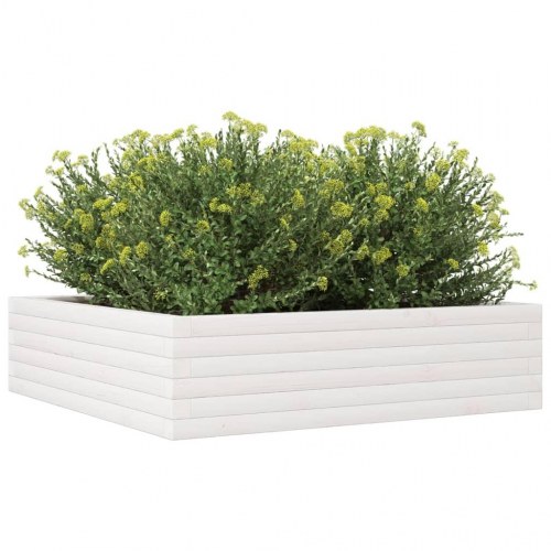 Plantekasse i massivt fyrretræ 90 x 90 x 23 cm - hvid