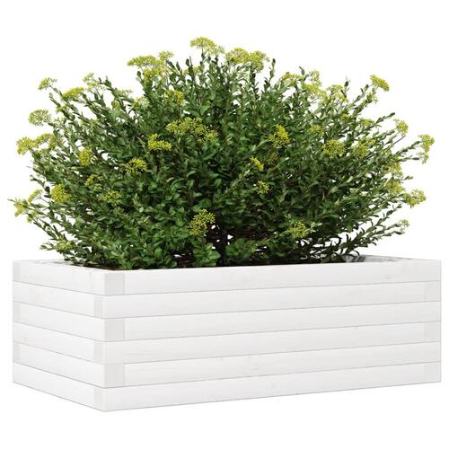Plantekasse 70x40x23 cm massivt fyrretræ hvid