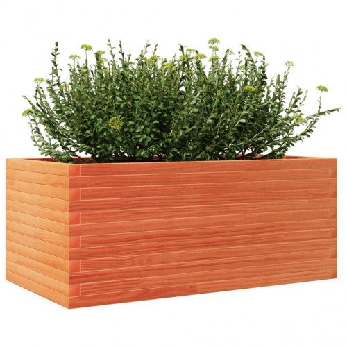 Plantekasse i massivt fyrretræ 110 x 60 x 46 cm - gyldenbrun
