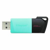 USB-stik Kingston Exodia M Sort 256 GB