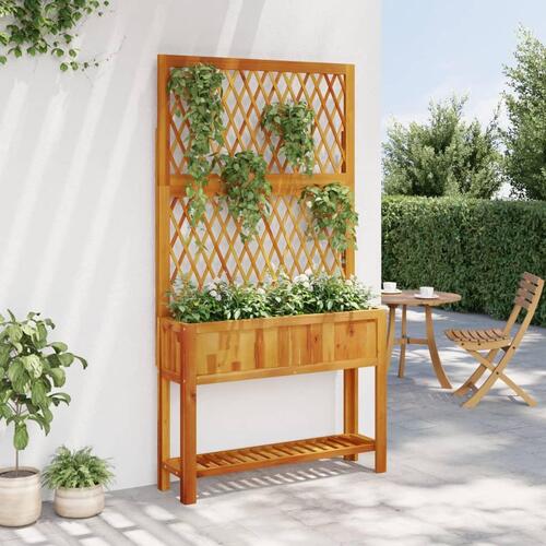 Plantekasse med espalier og hylde 100x32x185 cm massivt akacie