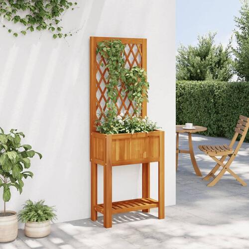 Plantekasse med espalier og hylde 55x29,5x152 cm massivt akacie