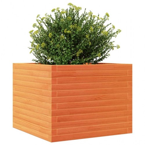 Plantekasse 60 x 60 x 46 cm i massivt fyrretræ - gyldenbrun