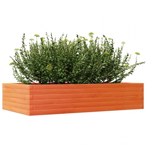 Plantekasse 110 x 60 x 23 cm i massivt fyrretræ - gyldenbrun