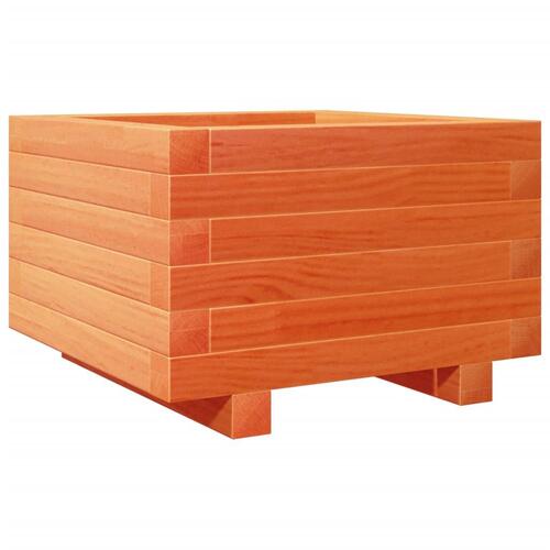 Plantekasse 40x40x26,5 cm massivt fyrretræ gyldenbrun
