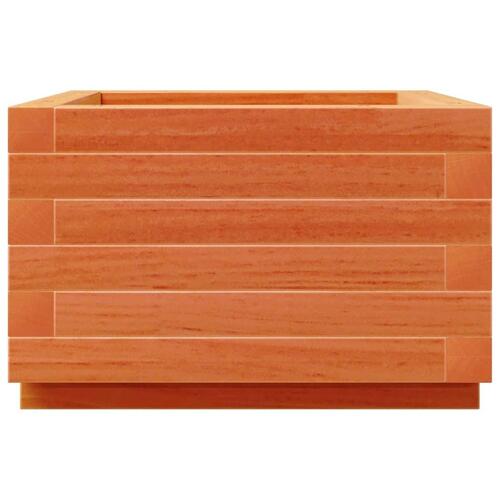 Plantekasse 40x40x26,5 cm massivt fyrretræ gyldenbrun