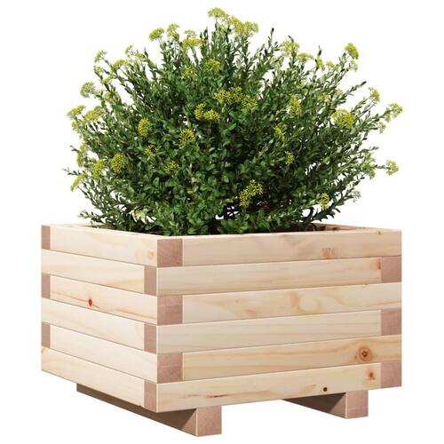 Plantekasse 40x40x26,5 cm massivt fyrretræ