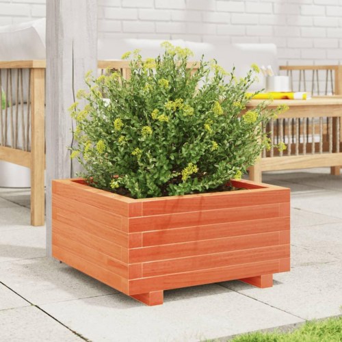 Plantekasse i massivt fyrretræ 50 x 50 x 26,5 cm - gyldenbrun