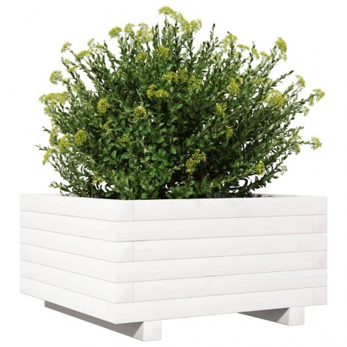 Plantekasse i massivt fyrretræ 50 x 50 x 26,5 cm - hvid