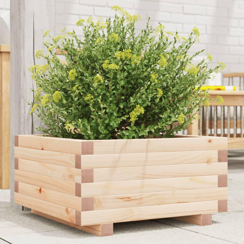 Plantekasse Massivt Fyrretræ Fyrretræ Naturlig - 50 x 50 x 26.5 cm