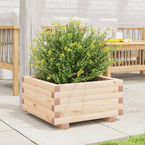 Plantekasse 50x50x26,5 cm massivt fyrretræ