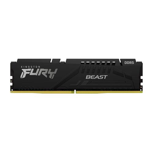 RAM-hukommelse Kingston KF556C36BBEK2-64 DDR5