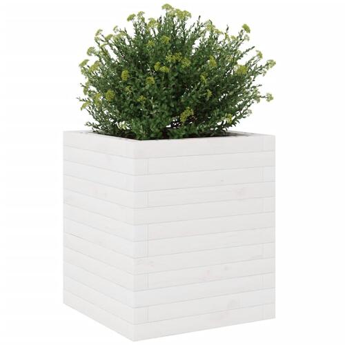 Plantekasse 40x40x46 cm massivt fyrretræ hvid