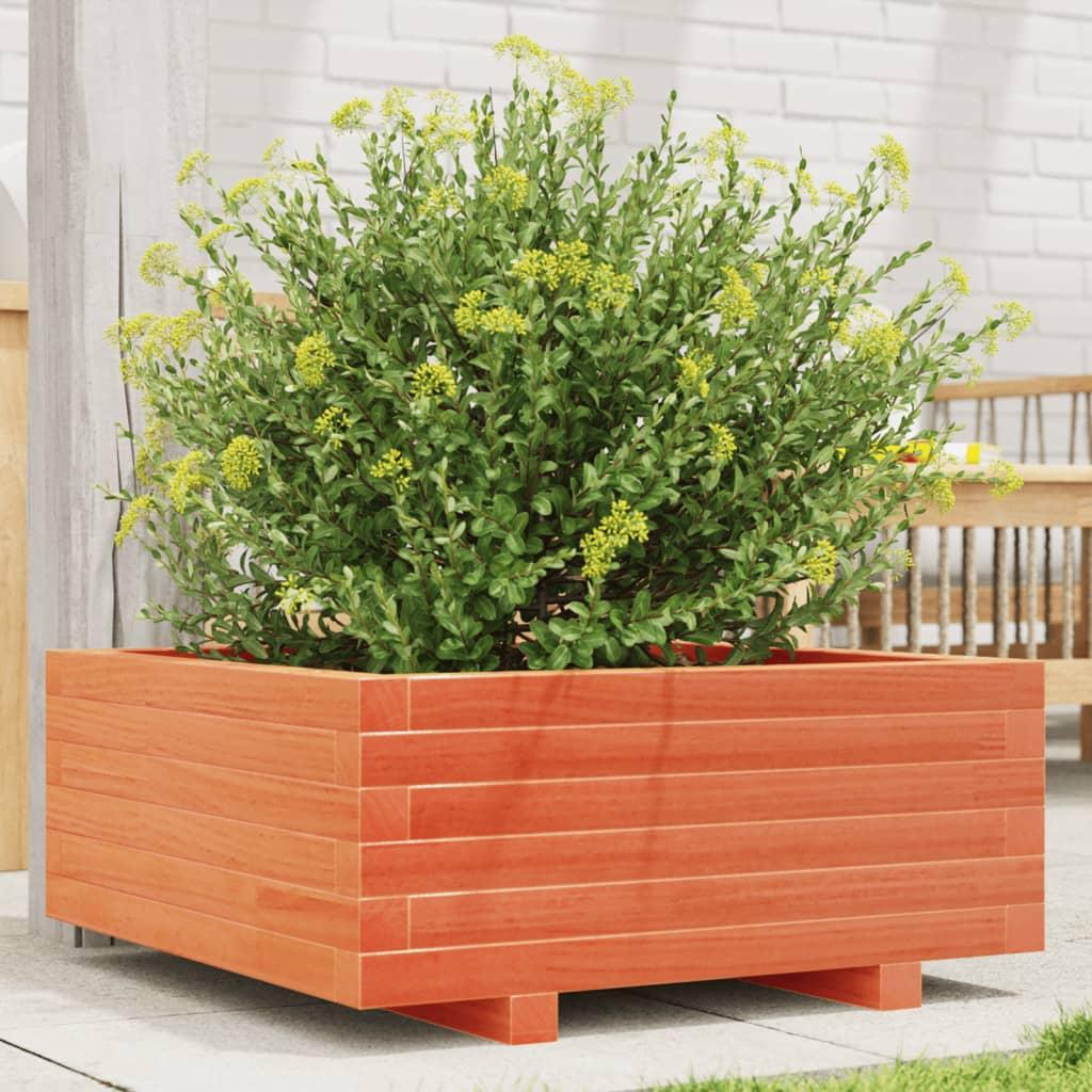 Plantekasse 60x60x26,5 cm massivt fyrretræ gyldenbrun billede