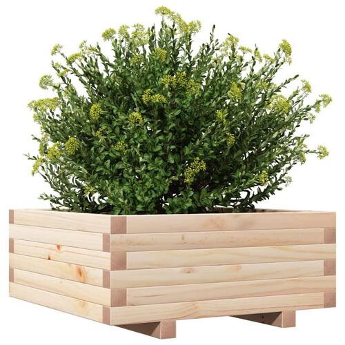 Plantekasse 60x60x26,5 cm massivt fyrretræ