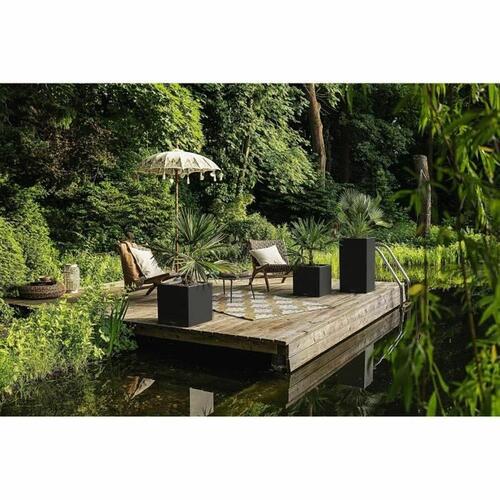 Urtepotte Lechuza 76 x 40 x 10 cm Sort (1 enheder)