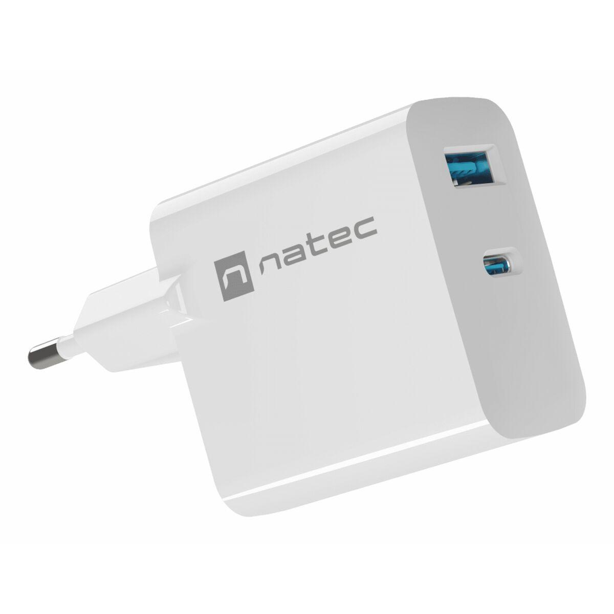 Natec Ribera power adapter - GaN - USB 24 pin USB-C - 65 Watt