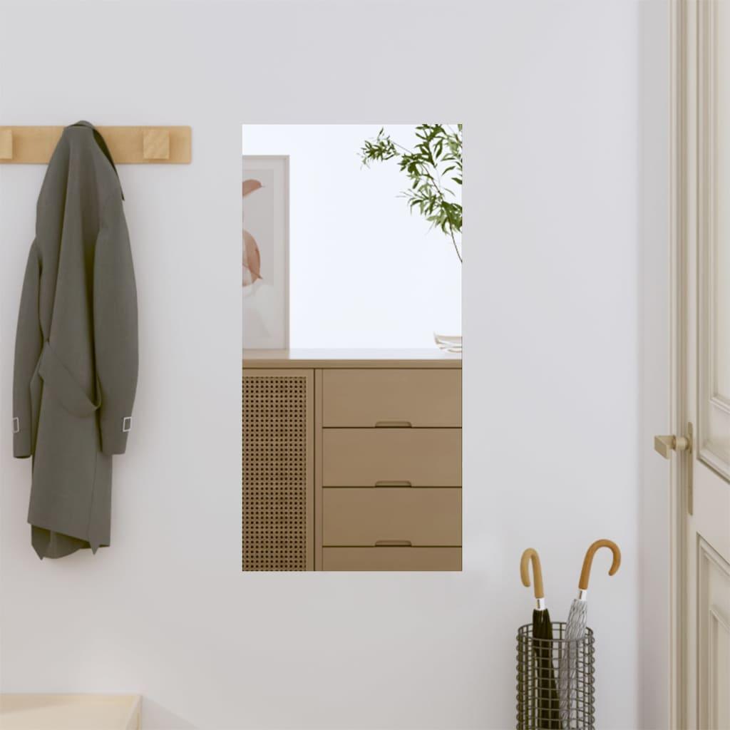 Vægspejl 30x60 cm rektangulær glas billede
