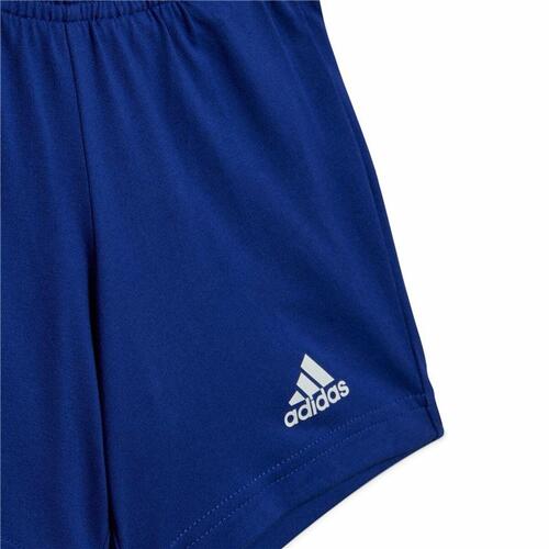 Sportstøj til Baby Adidas Essentials Organic Grå 12-18 måneder