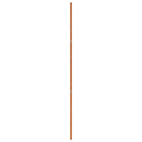 Skydedør 100x208 cm massivt fyrretræ gyldenbrun